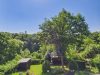 Gartenansicht
